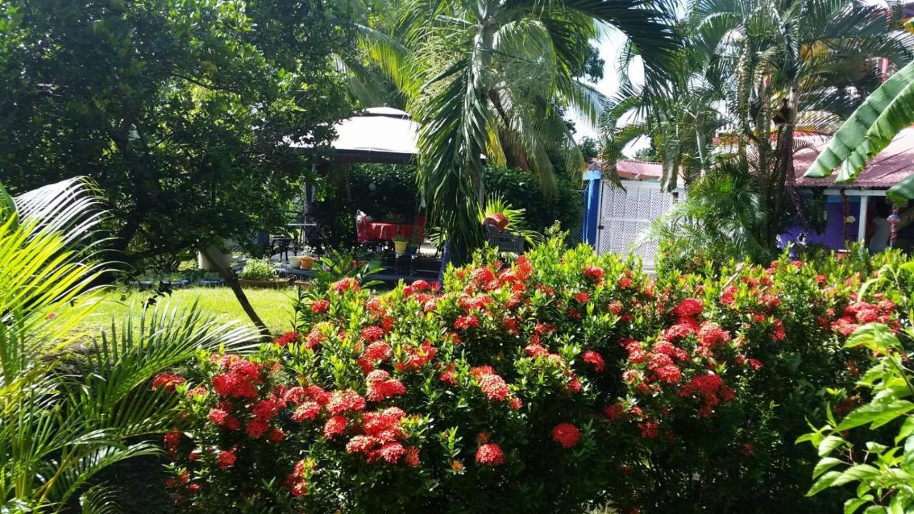 Posada Nativa Licy San Andrés Exteriér fotografie