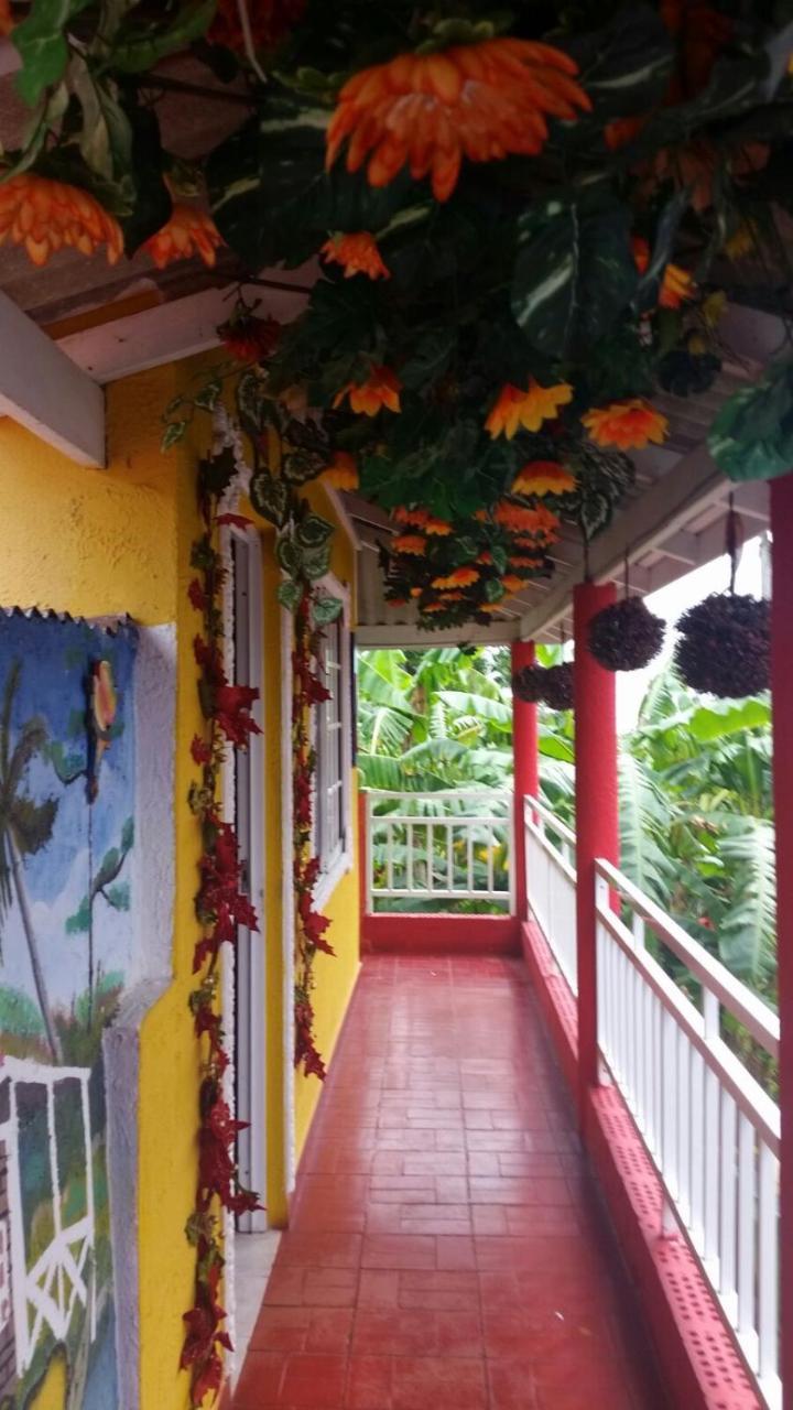 Posada Nativa Licy San Andrés Exteriér fotografie